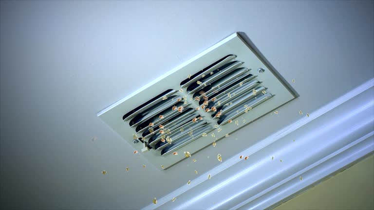 Best Dryer Vent Cleaning Services  in Kenner, LA